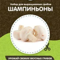 Фото:  Домашняя грибница в Нижнем Новгороде. Вид 11.