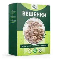 Фото:  Домашняя грибница в Нижнем Новгороде. Вид 13.