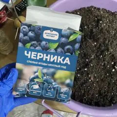 Фото:  Ягодница Домашний фермер в Махачкале. Вид 2.