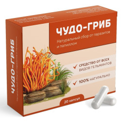 Чудо-Гриб от паразитов