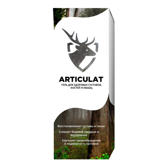 Articulat в Москве