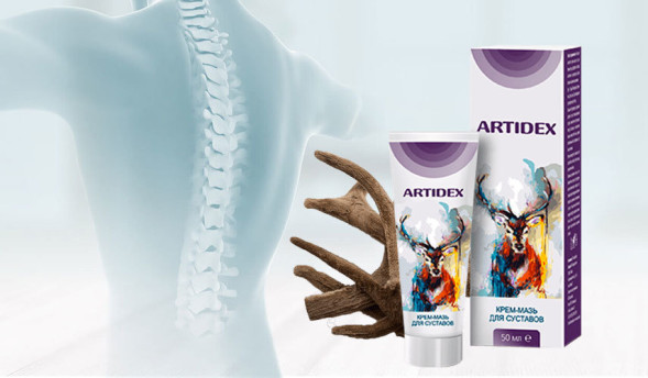 Artidex в Москве