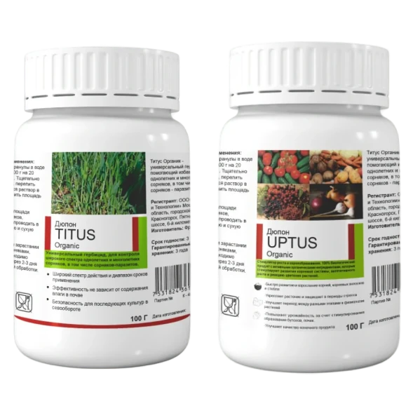 Titus и Uptus в Кирове