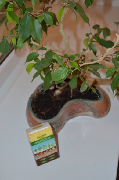 АгроМакс в Москве