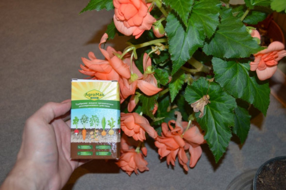 АгроМакс в Москве