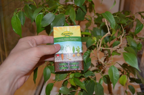 АгроМакс в Москве