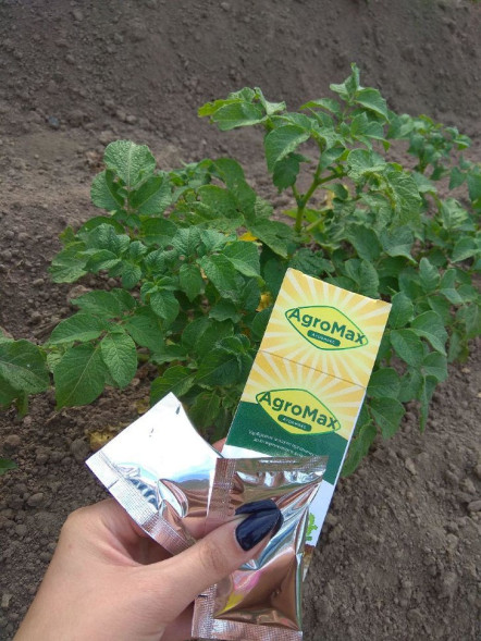 АгроМакс в Москве