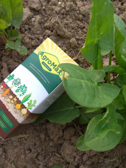 АгроМакс в Москве