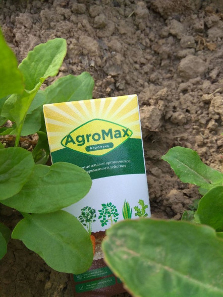 АгроМакс в Москве