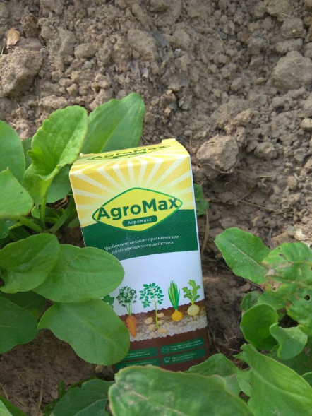 АгроМакс в Москве