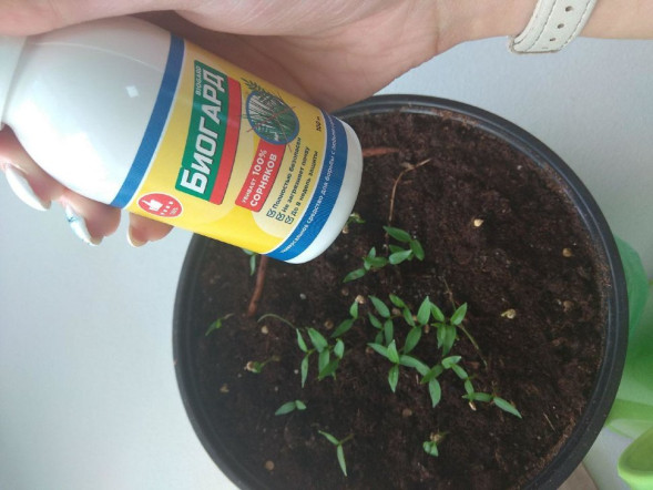 Биогард в Москве