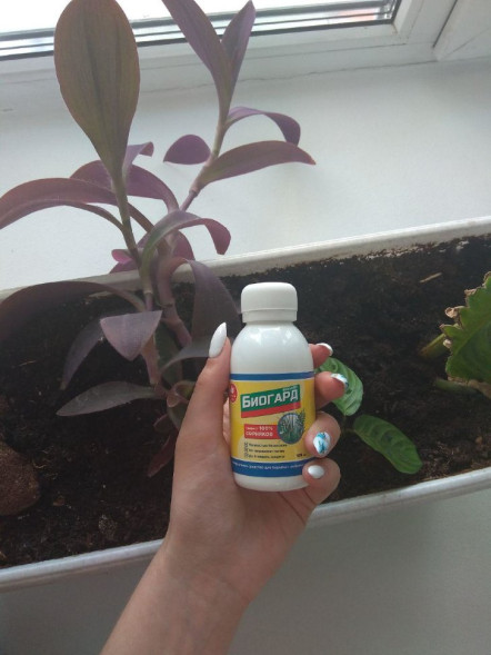 Биогард в Москве