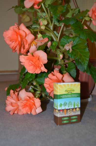 АгроМакс в Москве