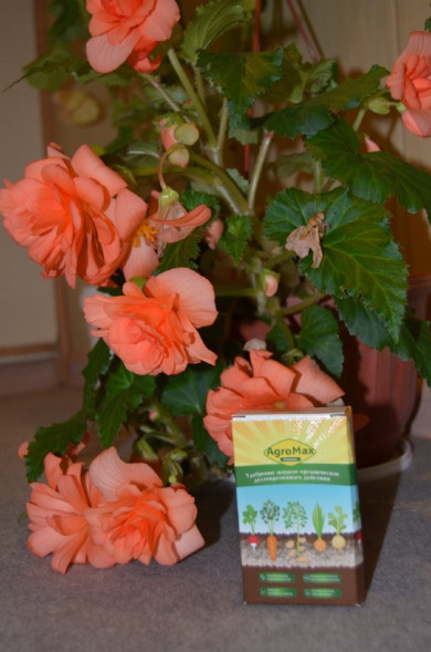 АгроМакс в Москве