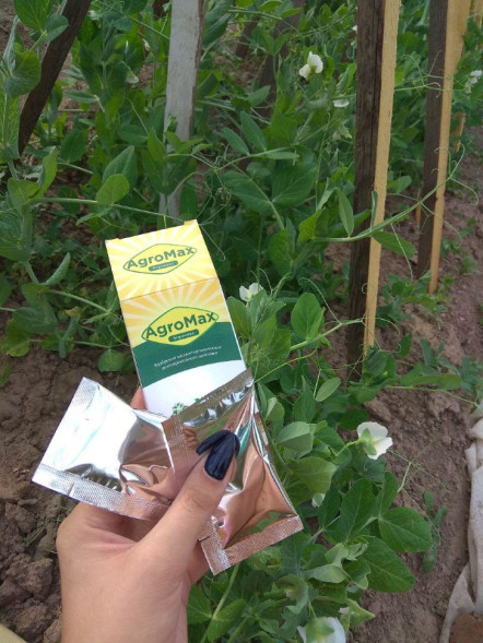 АгроМакс в Москве