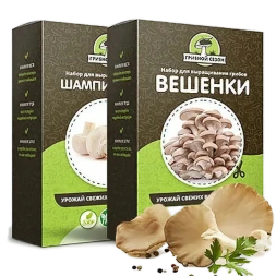 Домашняя грибница