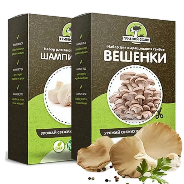 Домашняя грибница в Москве