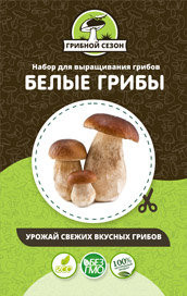 Домашняя грибница в Москве