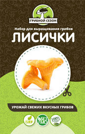 Домашняя грибница в Москве