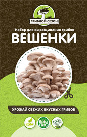 Домашняя грибница в Москве