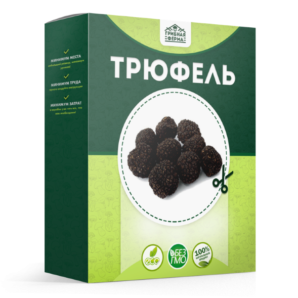 Домашняя грибница в Москве