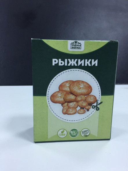 Домашняя грибница в Москве