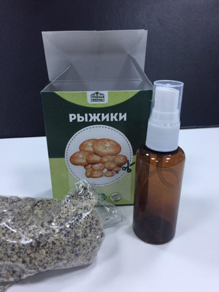 Домашняя грибница в Москве