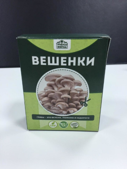 Домашняя грибница в Москве