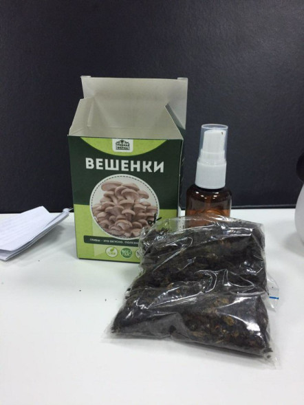 Домашняя грибница в Москве