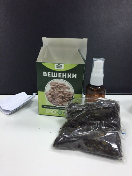 Домашняя грибница в Москве