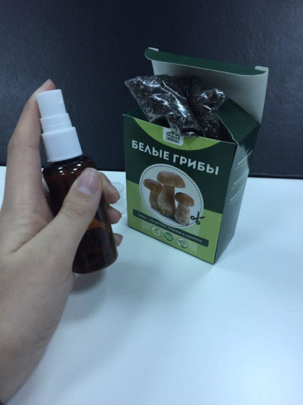 Домашняя грибница в Москве