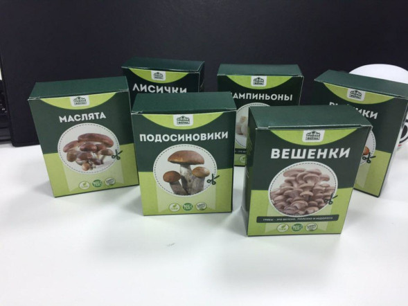 Домашняя грибница в Москве