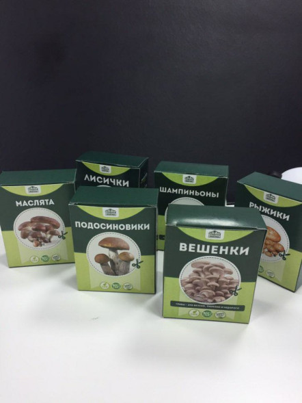 Домашняя грибница в Москве