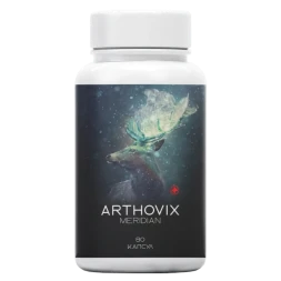 Arthovix Meridian