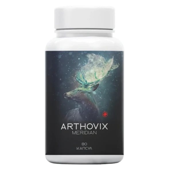 Arthovix Meridian в Москве