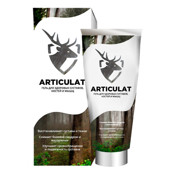 Articulat в Москве