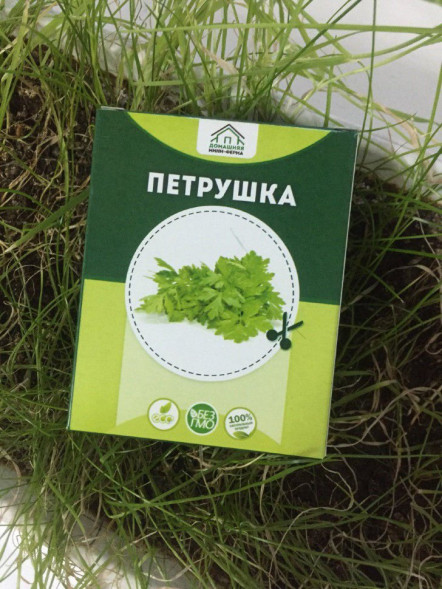 Домашняя мини-ферма в Москве