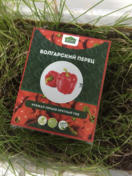 Домашняя мини-ферма в Москве