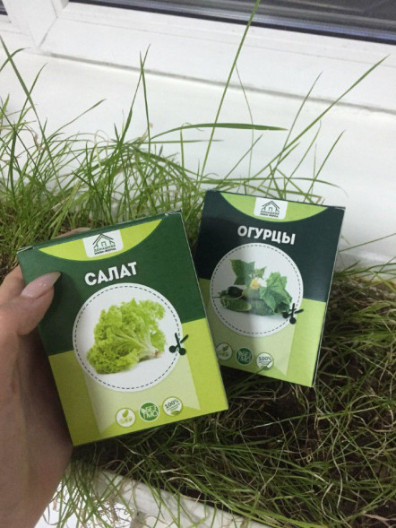 Домашняя мини-ферма в Москве