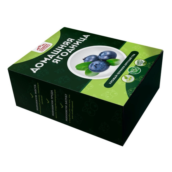 Домашняя ягодница в Москве