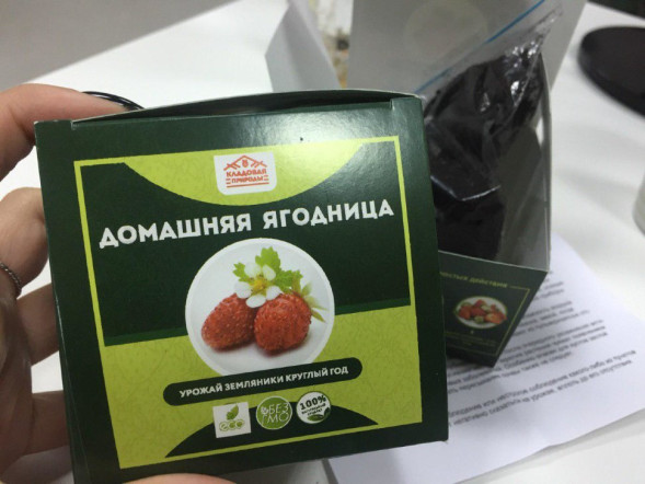 Домашняя ягодница в Москве