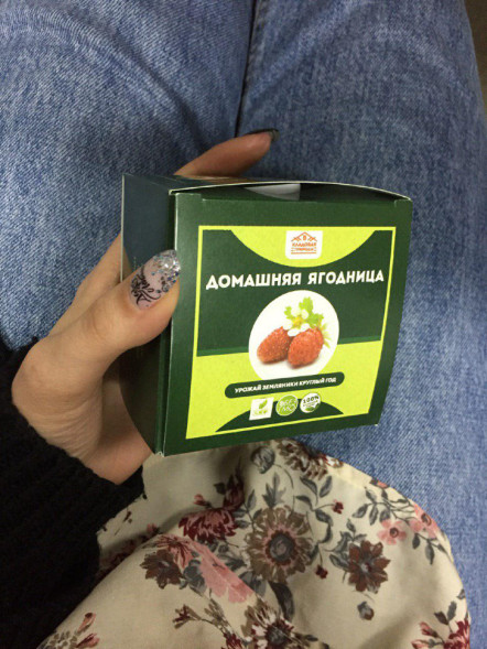 Домашняя ягодница в Москве