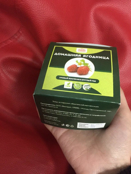 Домашняя ягодница в Москве