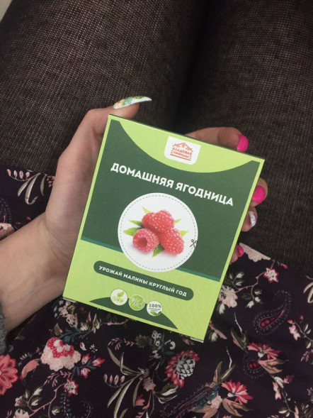 Домашняя ягодница в Москве