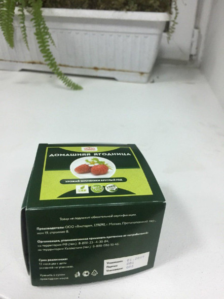 Домашняя ягодница в Москве