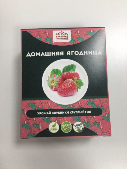 Домашняя ягодница в Москве