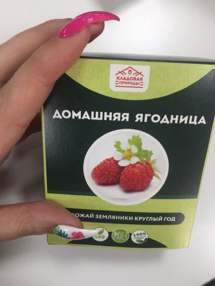 Домашняя ягодница в Москве