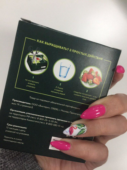 Домашняя ягодница в Москве