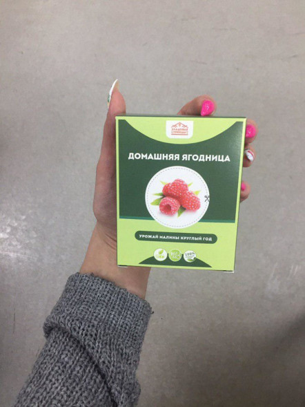 Домашняя ягодница в Москве