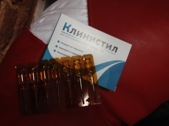 Клинистил в Москве